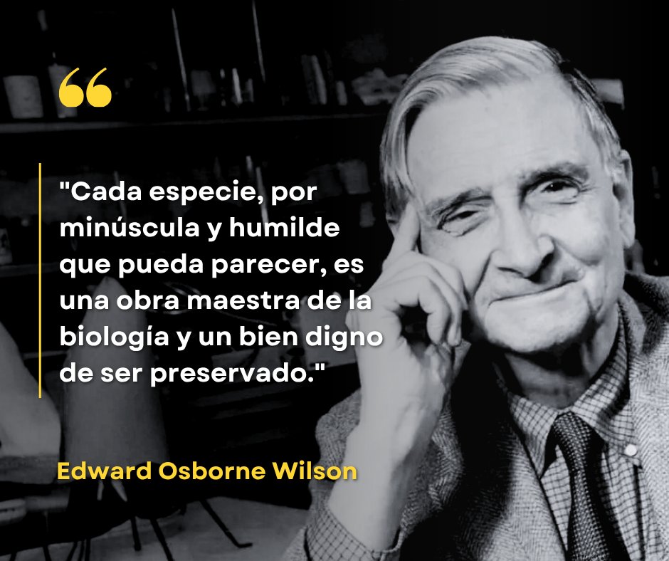 ambienteeuropeo's tweet photo. "Cada especie, por minúscula que parezca, es una obra maestra de la biología." — E.O. Wilson

El biólogo que dedicó su vida a defender la biodiversidad nos dejó un aviso claro: perder una especie, por pequeña que sea, es perder una pieza del equilibrio que nos sostiene a todos.🐝 https://t.co/OWjTxrtFh9
