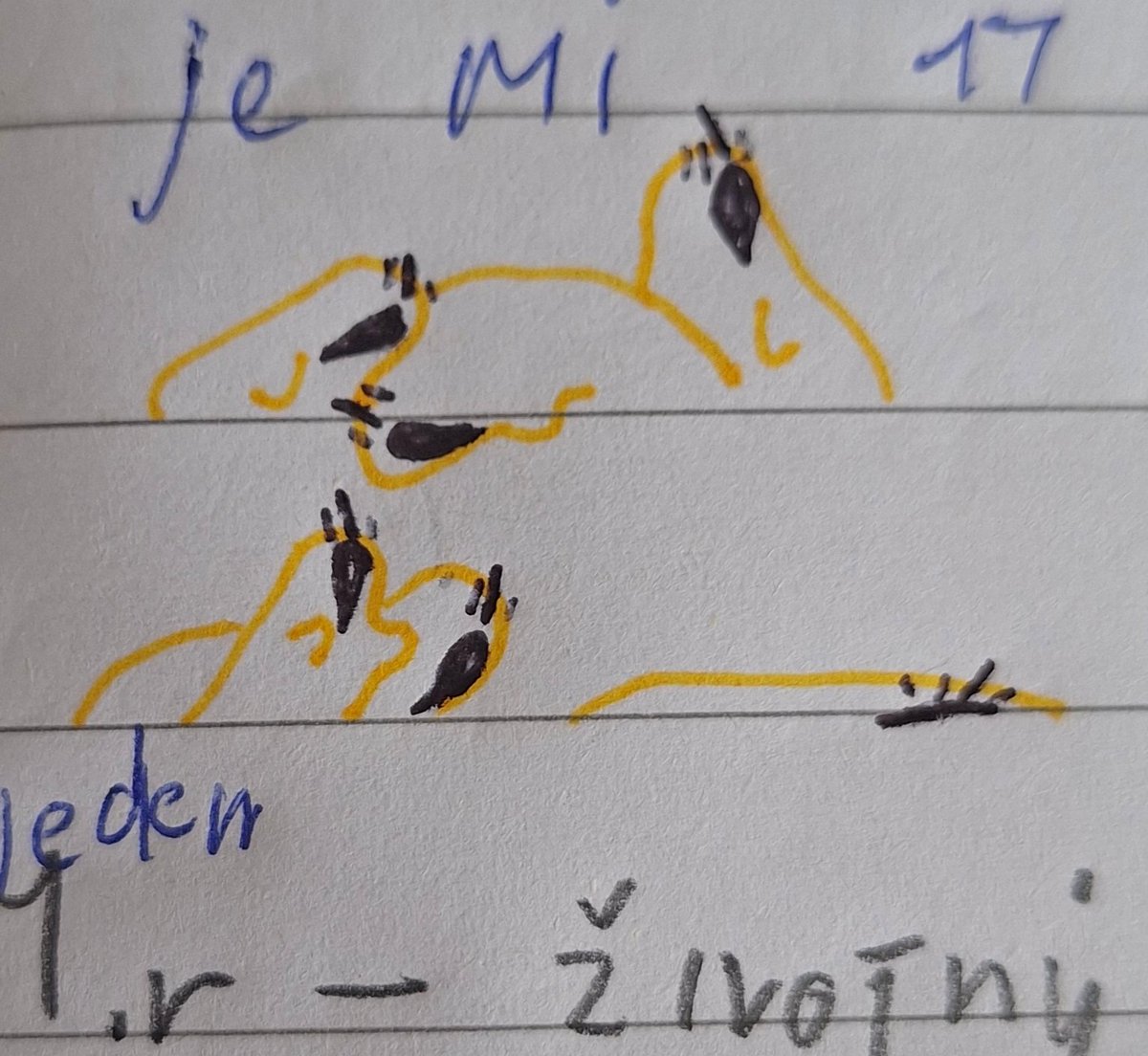 Kura1AmA_'s tweet photo. Kinglets and their mother idk

#kiy #theKinginYellow #art https://t.co/n2BpZw36hJ