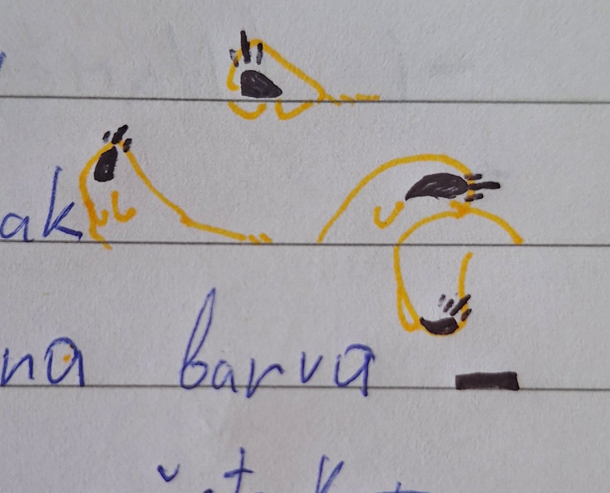 Kura1AmA_'s tweet photo. Kinglets and their mother idk

#kiy #theKinginYellow #art https://t.co/n2BpZw36hJ