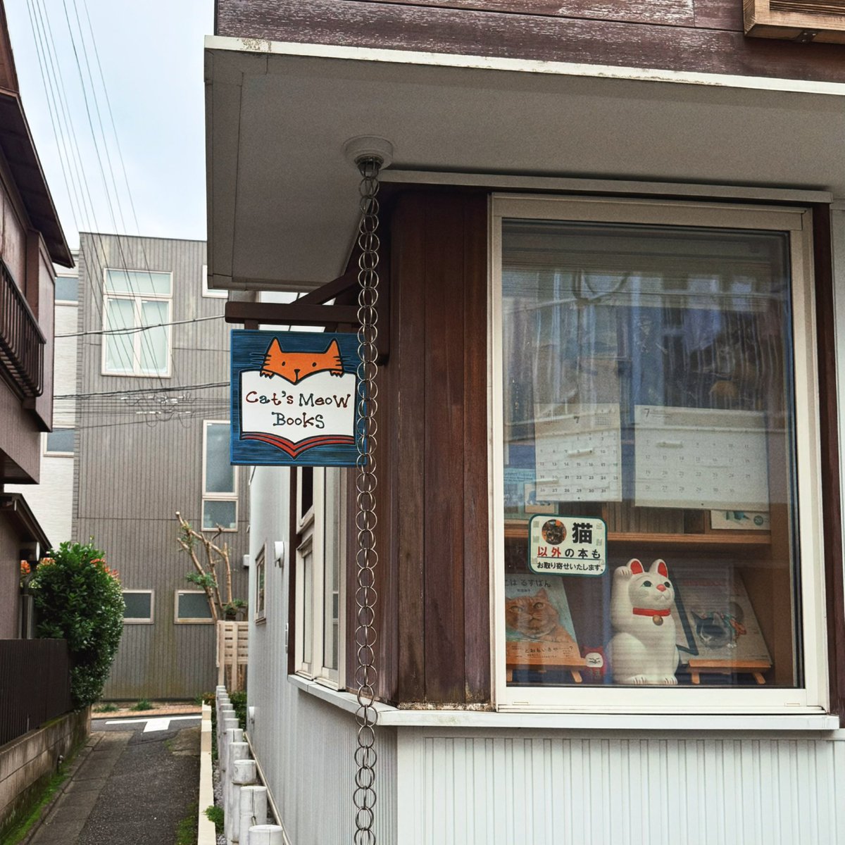 _mito_nosuke_'s tweet photo. 猫のいる個人本屋さん🐈🤍 https://t.co/ljPyfK3soD