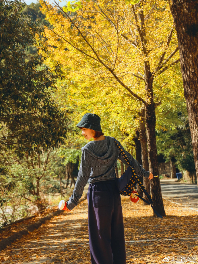 TranQuangAn9's tweet photo. Golden autumn breeze and crispy apple pie—this is the best time of year for cozy walks and warm treats. https://t.co/gDSXZ9MybV