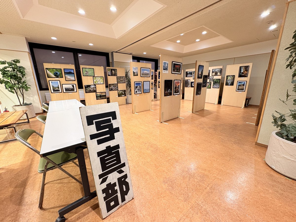raku_pic's tweet photo. いよいよ明日と明後日は白樺祭です！

写真部は中央館2Fの学生ロビーで、「新人展」「自然展」「都市展」の写真をそれぞれ展示します！
また、今年もポストカードを1枚あたり100円で販売します！

是非お越しください！

#酪農学園大学
#酪農学園大学写真部
#白樺祭 https://t.co/8AeWxjk9GE