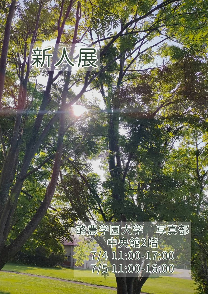 raku_pic's tweet photo. いよいよ明日と明後日は白樺祭です！

写真部は中央館2Fの学生ロビーで、「新人展」「自然展」「都市展」の写真をそれぞれ展示します！
また、今年もポストカードを1枚あたり100円で販売します！

是非お越しください！

#酪農学園大学
#酪農学園大学写真部
#白樺祭 https://t.co/8AeWxjk9GE