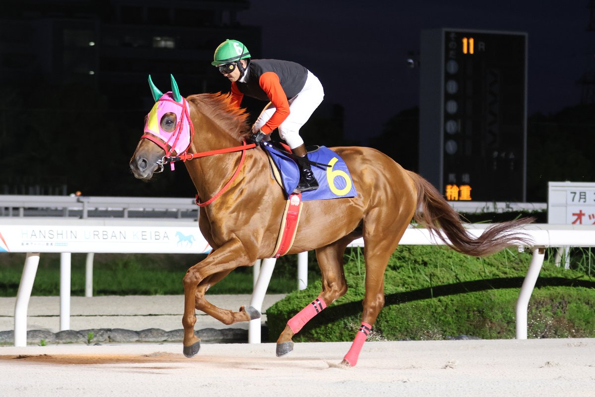 helios_07's tweet photo. 今年初のマルカイグアス出走レース現地観戦🐴
鞍上は今日も吉村騎手。 https://t.co/9YjmVtGMVX