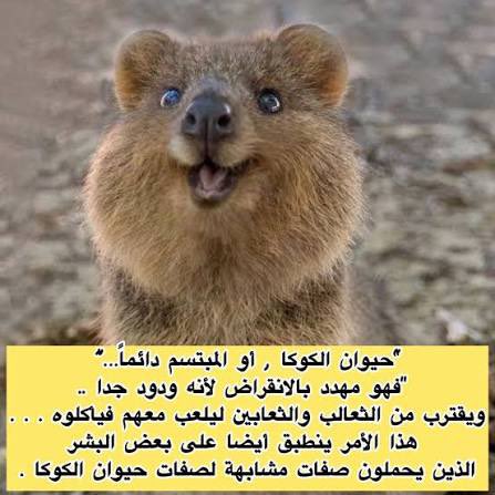 adow19801's tweet photo. @sh_b_j_a https://t.co/4fvWmROe3f