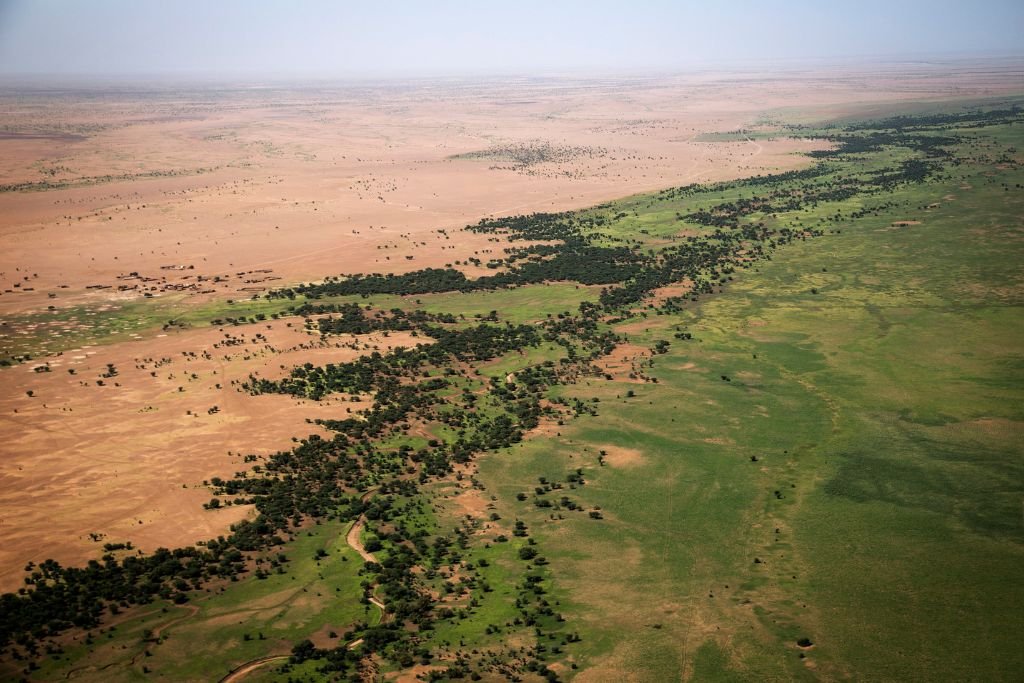 AMAZlNGNATURE's tweet photo. The Great Green Wall is one of the world's largest tree-planting projects

Launched in 2007, the project is an ambitious effort to restore degraded land and slow the spread of the Sahara Desert across Africa

Ethiopia has planted over 40 billion seedling since https://t.co/0DgKM19JVW