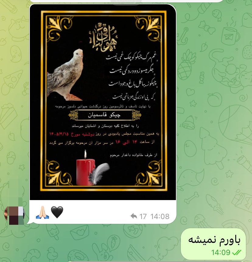 مُـ‌هنـا tweet media