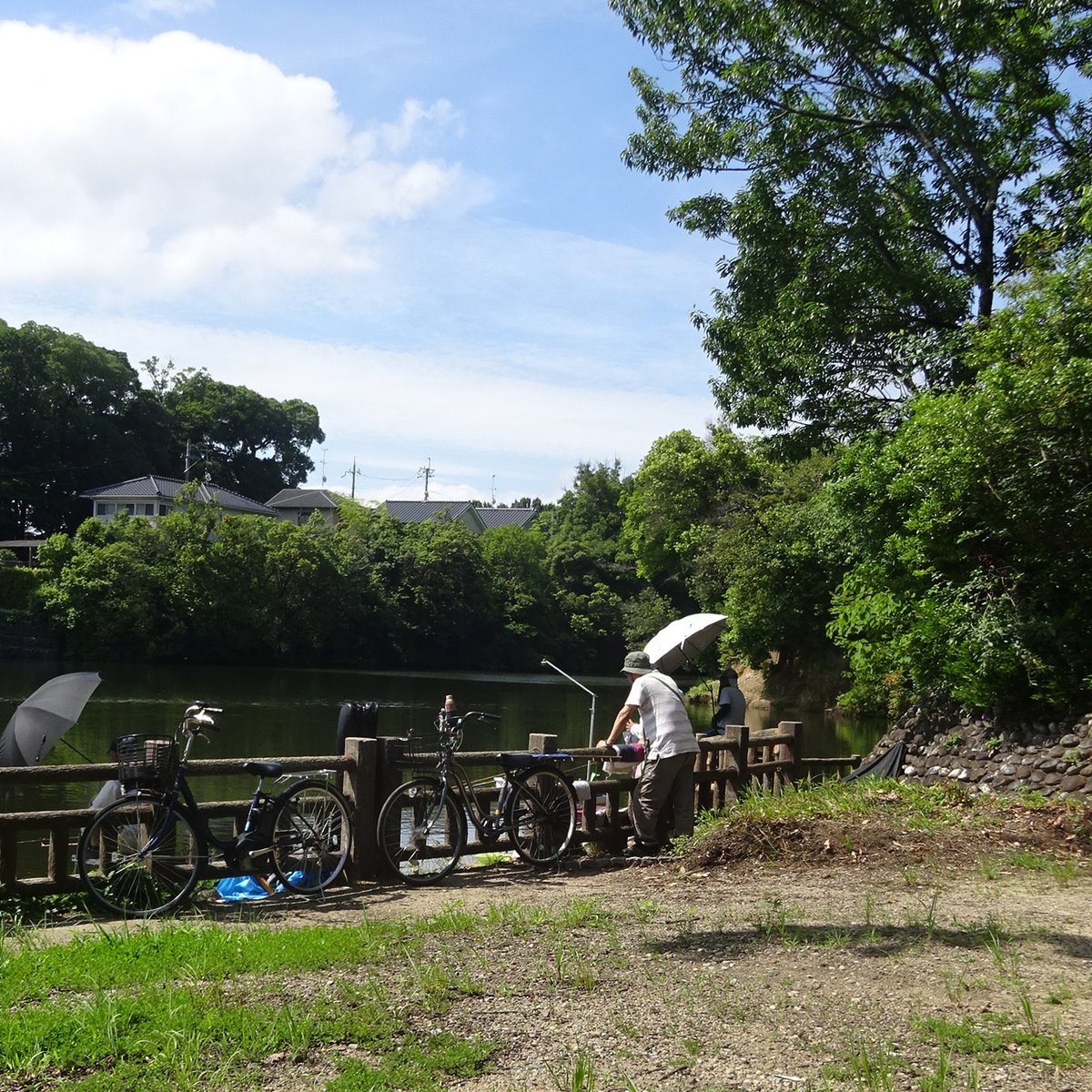 Kingyo_art's tweet photo. ちょっとスケッチ F1 PIGMA04

家族の病院待ちの時間にスケッチ。あまり体調が良くなかったので今回は公園ベンチに座って描きました。木陰、ベンチは快適です。
京都府向日市寺戸町古城 はり湖池

#drawing #art #illustration #sketch #japan #スケッチ #ペン画 #向日市 #はり湖池 #アナログ絵 #絵 https://t.co/fksSwKKR2U