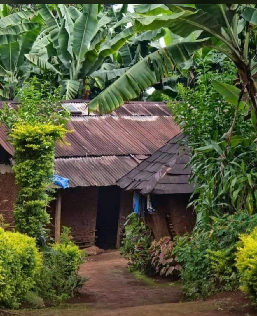 kasesco_tz's tweet photo. Haya mandhari yapo mkoa gani hapa Tanzania. https://t.co/MQv3O3GmCo