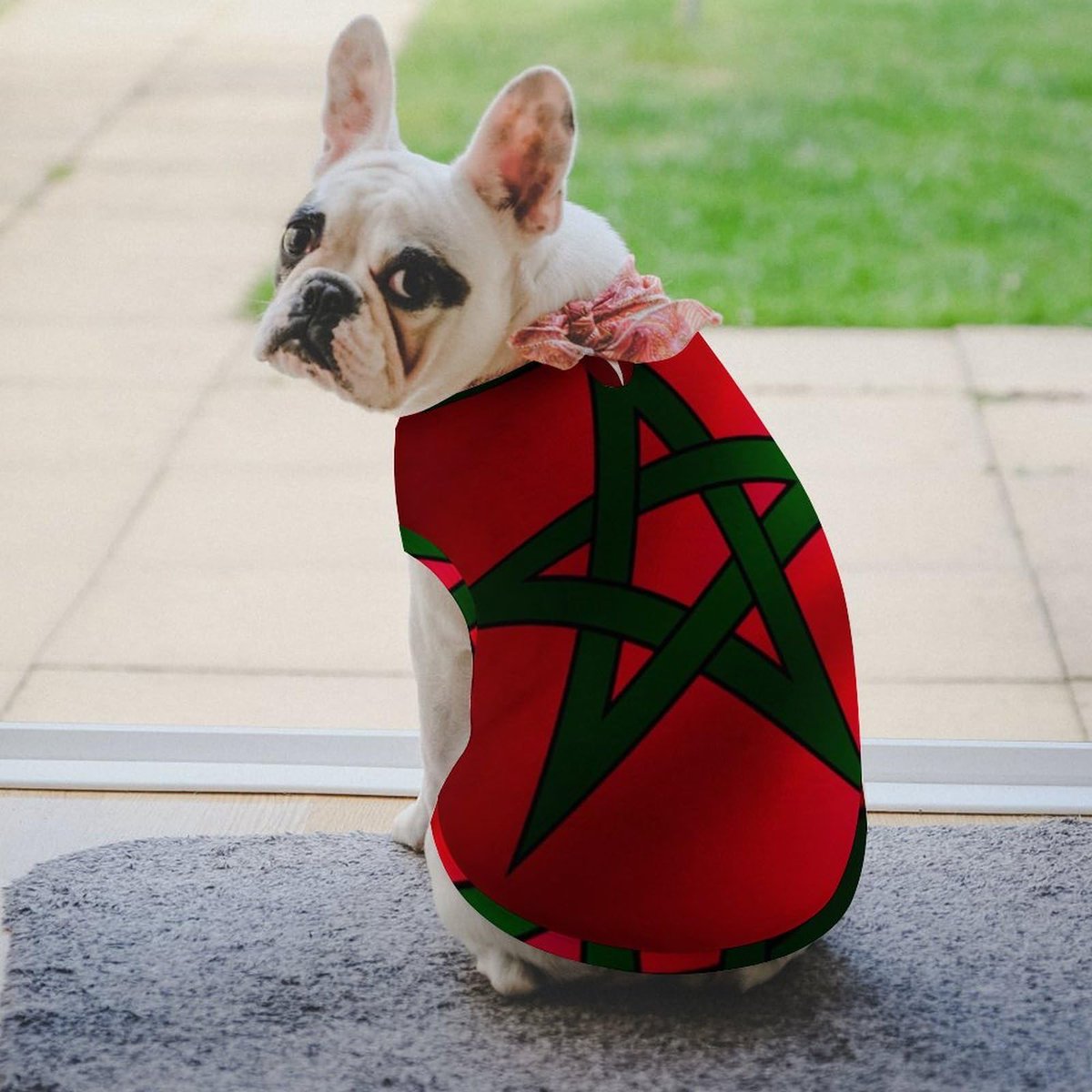 WalidGani82's tweet photo. @nissrine44 @derradjihafid بطبيعة الحال كلاب وصهاينة وبرديل افريقيا والعالم كامل شاف همجيتكم مع طفل صغير والطابور راه طويل ف المغرب حذا قحابكم ومطار مراكش يشهد خماج 🤮🤮🤮🤮 عايشين ف الحرام اقتصاد الزنا والدعارة والبيدوفيليا يلا سيري قودي يا 💩 https://t.co/u5b1ivy4Kq