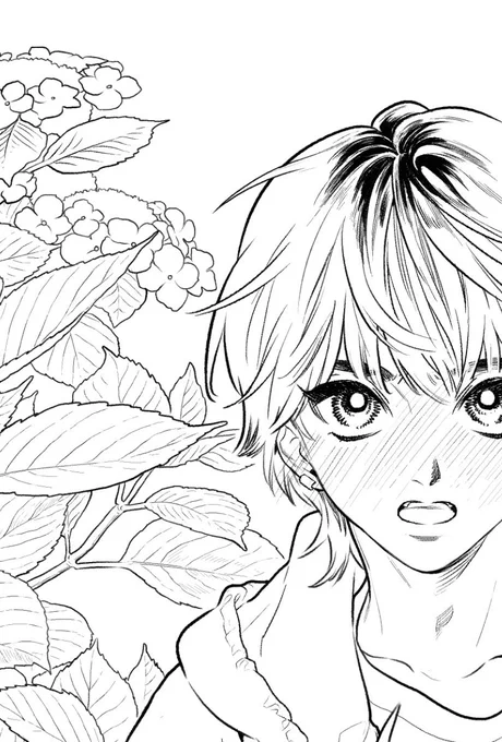 想と、紫陽花。 