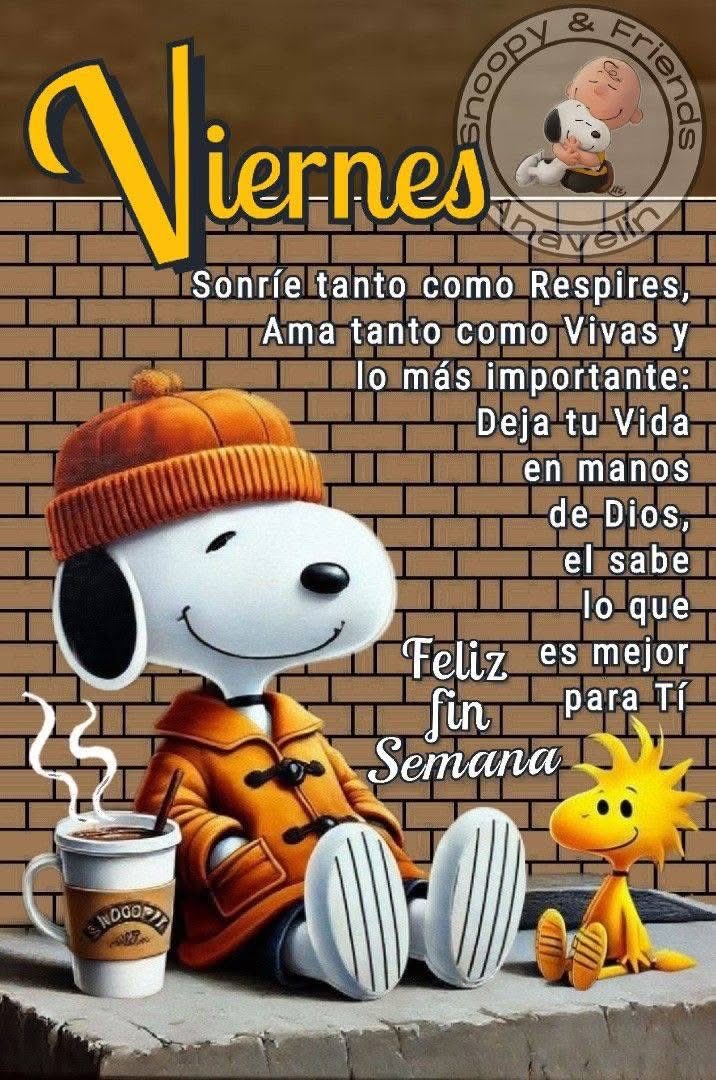 anaidcaban's tweet photo. Buenos días ☀️ https://t.co/QKr8XdXKax