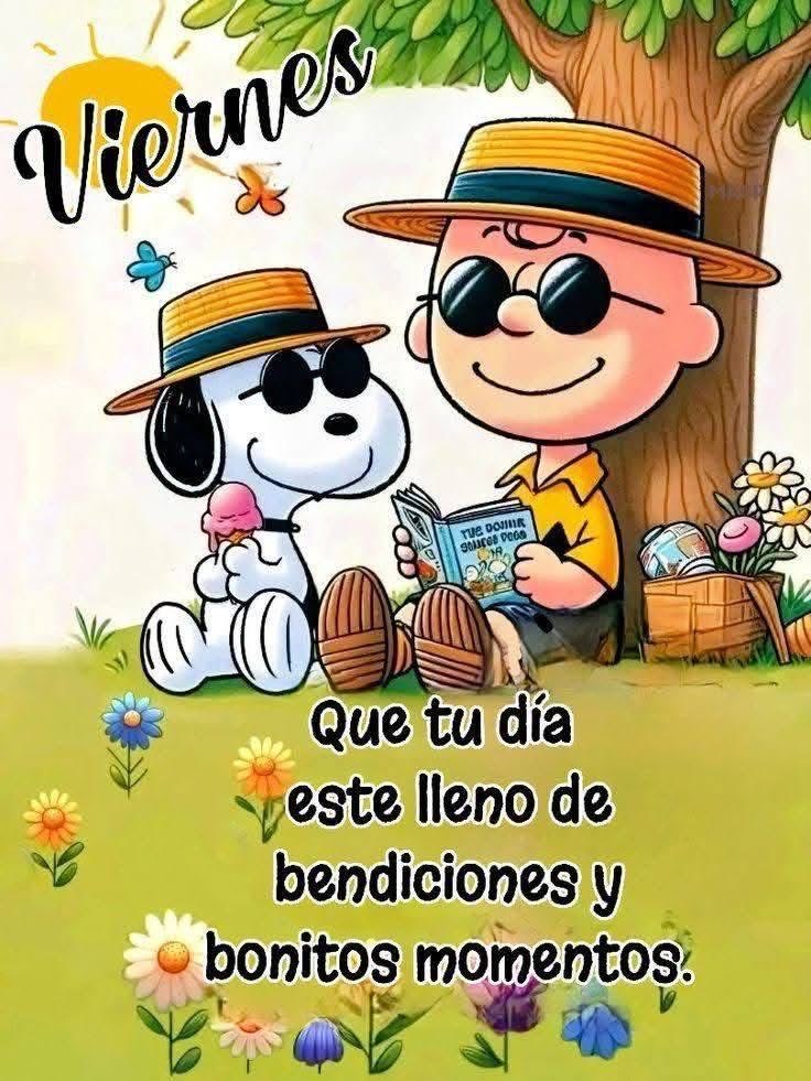 anaidcaban's tweet photo. Buenos días ☀️ https://t.co/QKr8XdXKax