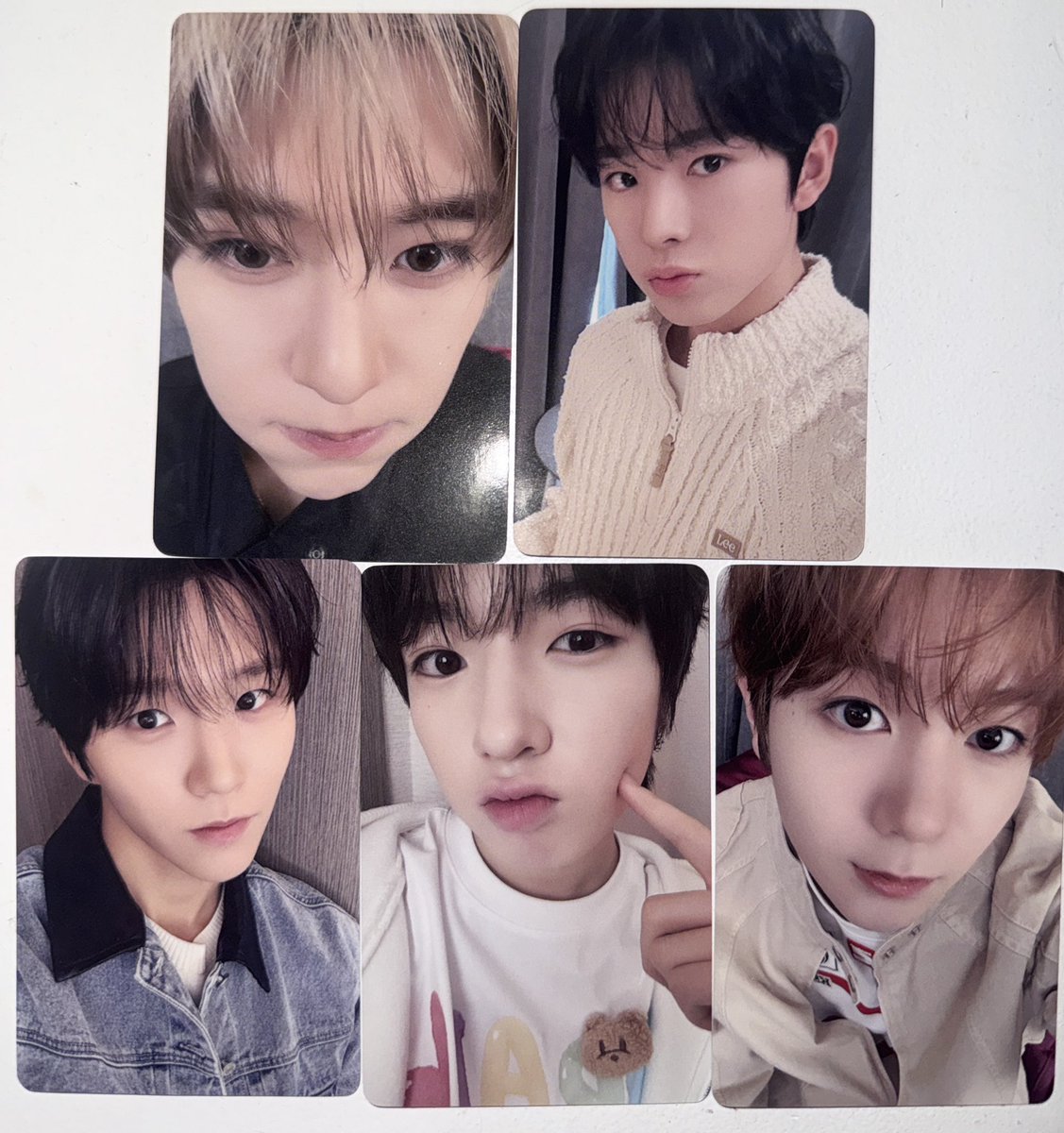 AeyongLu's tweet photo. 250227 엔시티 위시 스테디 steady yzy 이즈위 사진회 포토이벤트 미공포 양도

1set=6.0

현물⭕️ 대량⭕️
바로배송 가능

https://t.co/BIRFl57xO7

팬싸 팬사인회 대량 sell wts 오투럽 시온 리쿠 유우시 nct wish 포카 포토 카드 poca photocard yushi sion riku sakuya https://t.co/9e8ilnjM5K