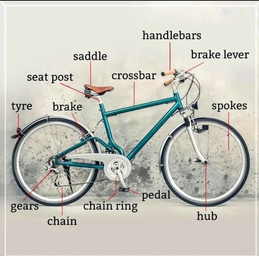 EGrammarTipss's tweet photo. Bicycle Vocabulary https://t.co/V1QYOyhHAF
