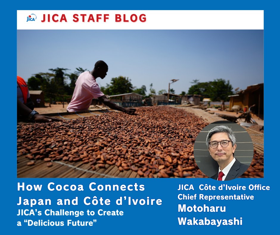 jica_direct_en's tweet photo. 🍫【What It Takes to Safeguard Japan’s Chocolate】
Chocolate is something many of us enjoy every day.  
However, cocoa production in Ghana has been declining due to climate change and the impact of illegal gold mining…… https://t.co/kNcoqoaArK