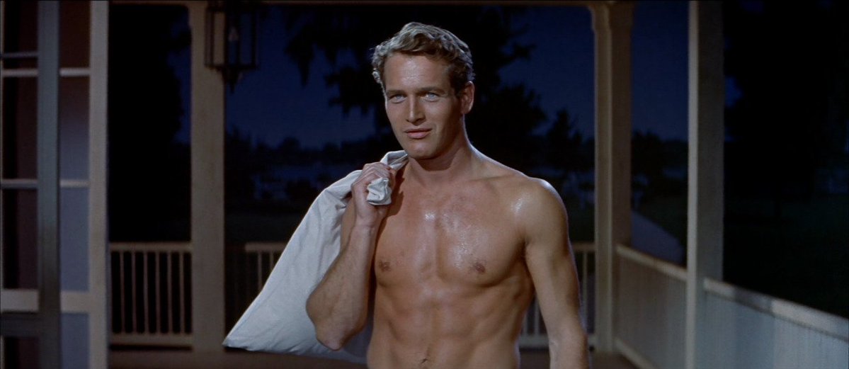 TheCinesthetic's tweet photo. Paul Newman in The Long, Hot Summer (1958) https://t.co/dTcC2YqWbd