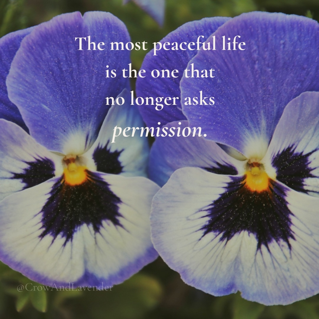 CrowAndLavender's tweet photo. https://t.co/DbdvXm7Xa3