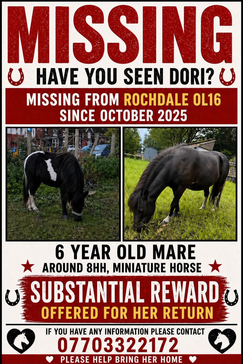 MissingPetsGB's tweet photo. #Rochdale STOLEN Dori could be hiding in plain sight. Dori had very distinct markings as you can see from below, one side is completely black and the other a patch of white on the stomach. 

There is a 🥰SUBSTANTIAL 🥰 reward for her return or information about her whereabouts. https://t.co/WvFMMXw1Az