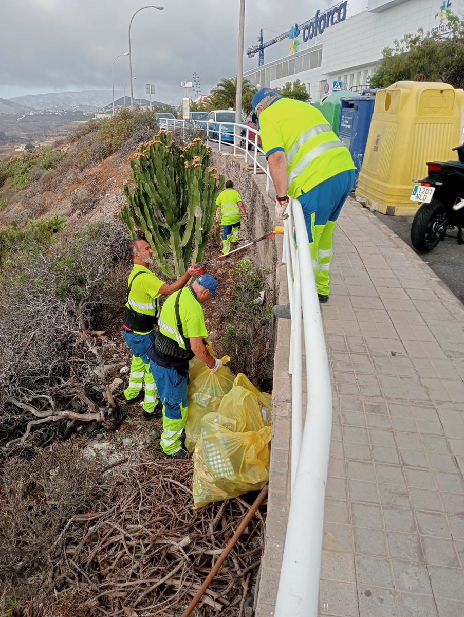 LimpiezaLPGC's tweet photo. LIMPIEZAS ESPECIALES
Actuaciones especiales de limpieza, desbrozado de hierbas (manual y mecanizado), retirada de vertidos ilegales de #trastos, #escombros y #poda y desinfección en El Secadero. https://t.co/IbRFbcgH5A