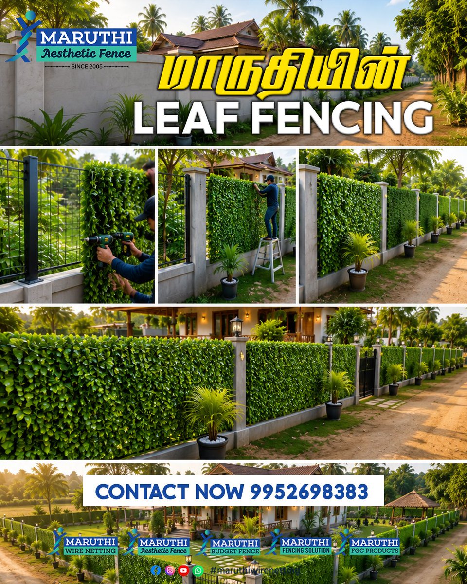 sri_wire's tweet photo. 🏡 உங்கள் வீட்டுக்கு Green &amp; Premium Look! https://t.co/vEgBtI6EuI