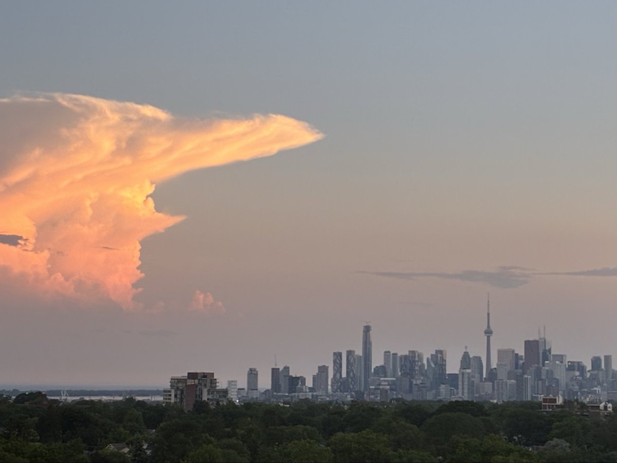 macleod_alex's tweet photo. Stay the f*ck away from The #6ix, Orange Man! https://t.co/jE1SV8T27M