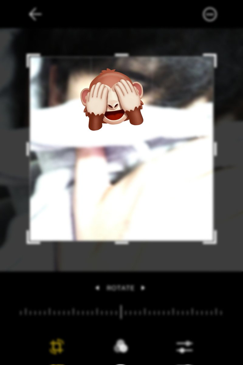 김찬 tweet media