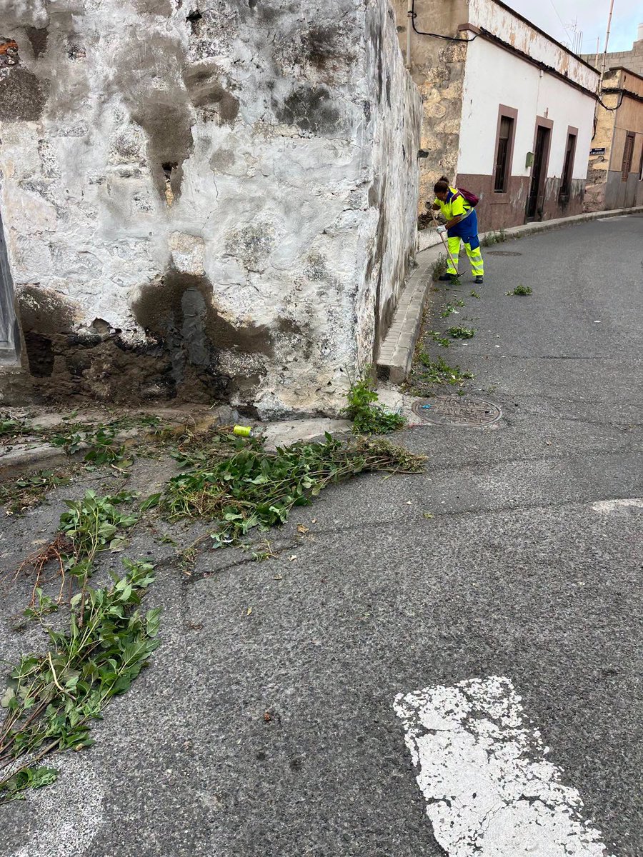 LimpiezaLPGC's tweet photo. LIMPIEZAS ESPECIALES
Actuaciones especiales de limpieza, desbrozado de hierbas (manual y mecanizado), retirada de vertidos ilegales de #trastos, #escombros y #poda y desinfección en Tenoya. https://t.co/qB3Nd2HQey