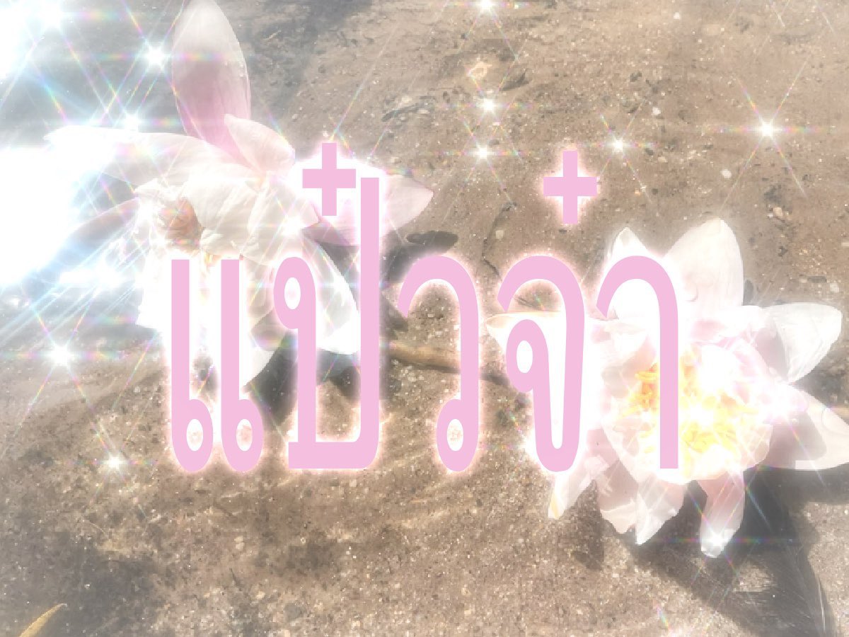 🍮เจลี ˚୨୧⋆ tweet media