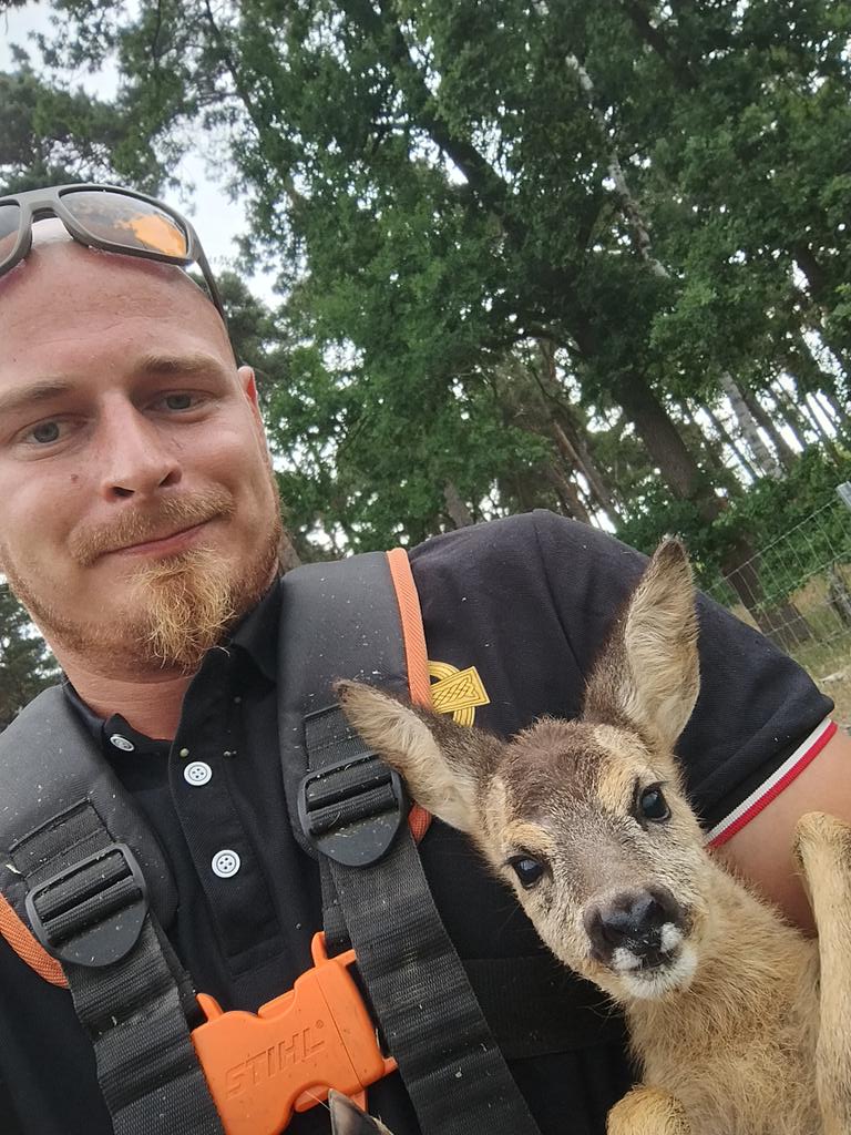 AndyBecker6j's tweet photo. Mit dem kleinen mal Gassi runde im Wald und jetzt rennt er bei sein Kollegen wieder in der Wildnis umher https://t.co/9jfjzgpKf0