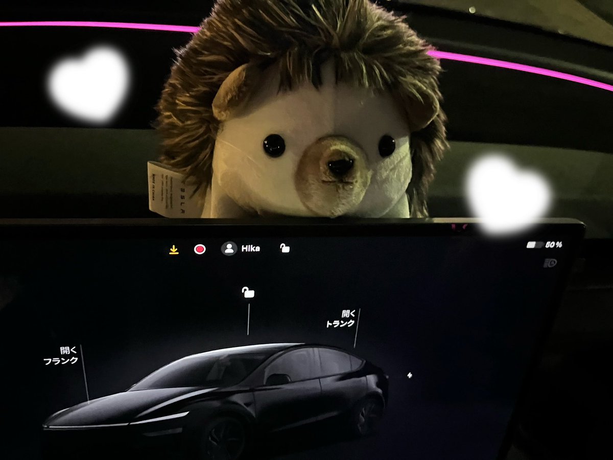 tesla_y_choco's tweet photo. 噂の？テスラの詫びネズミʢᴗ.ᴗʡᶻ 𝘇 𐰁 https://t.co/yXvLp3jOwG