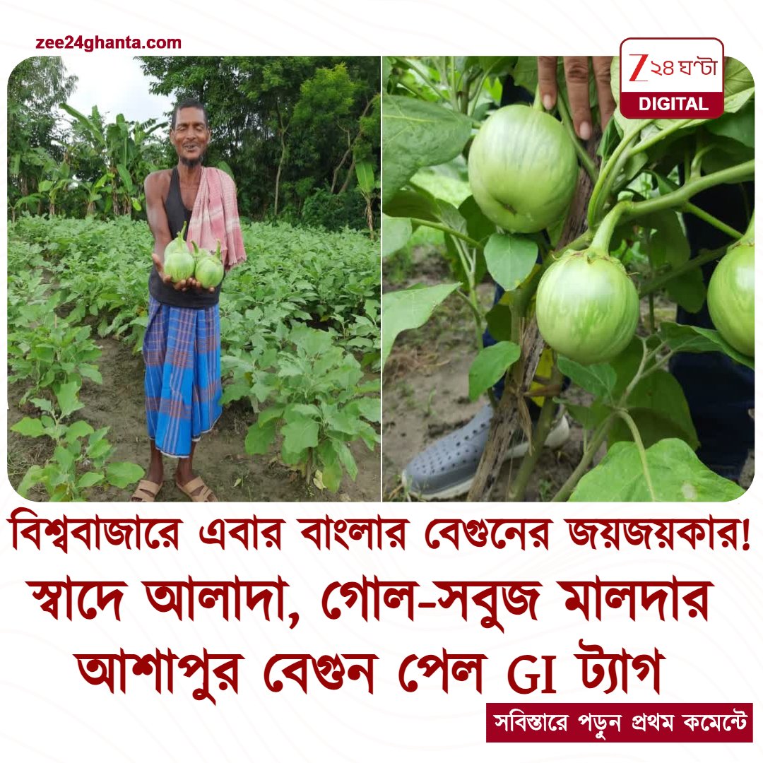 Zee24Ghanta's tweet photo. বে-গুণ মোটেই নয়! আন্তর্জাতিক স্তরে এবার মালদার বেগুন...
পড়ুন সবিস্তারে: https://t.co/ZNdS1uzdaf
#Maldaha #brinjal #Zee24Ghanta https://t.co/uY3hQDRsD2