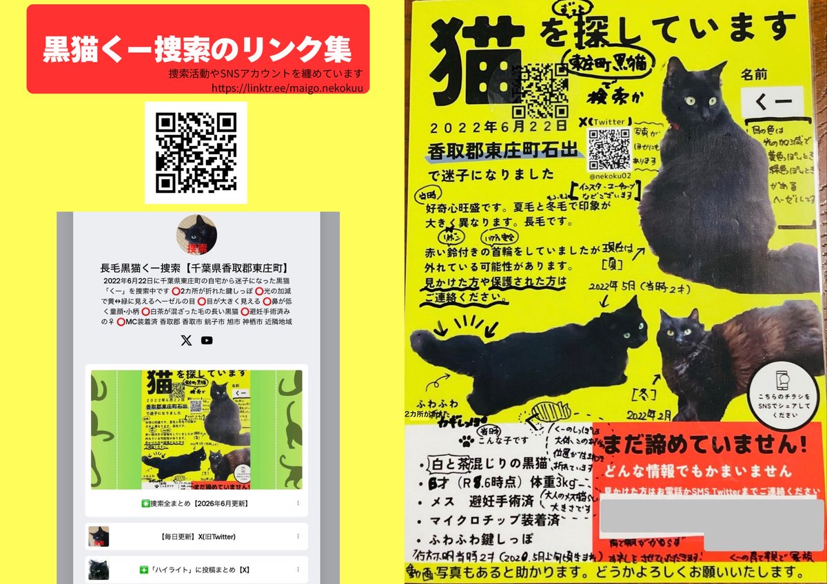 nekoku02's tweet photo. 【千葉県香取郡東庄町 長毛黒猫くー♀を探してます】
noteの捜索記事に詳細有：外部SNSアカウントなどをリンク集に纏めています(https://t.co/7XzIS56h5u)

⭕️2ヶ所が折れた鍵しっぽ
⭕️光の加減で黄↔︎緑に見える目
⭕️成猫の雌らしい小柄

#東庄町 石出 '22年6/22 迷子 下総橘駅 香取市 旭 銚子 神栖 https://t.co/KGd0l4NlmJ