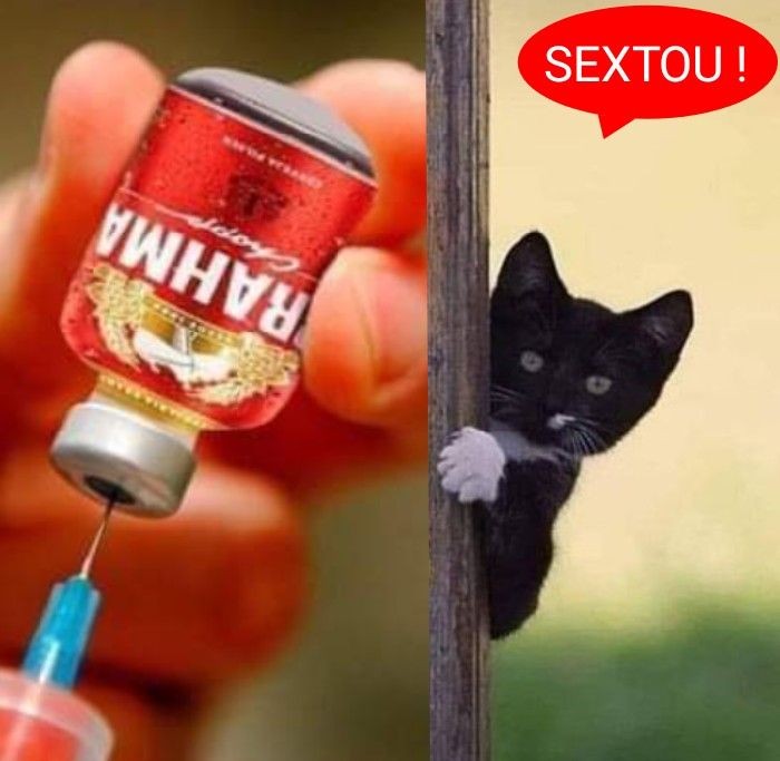 gatosviados's tweet photo. https://t.co/Jyotcp4i2T