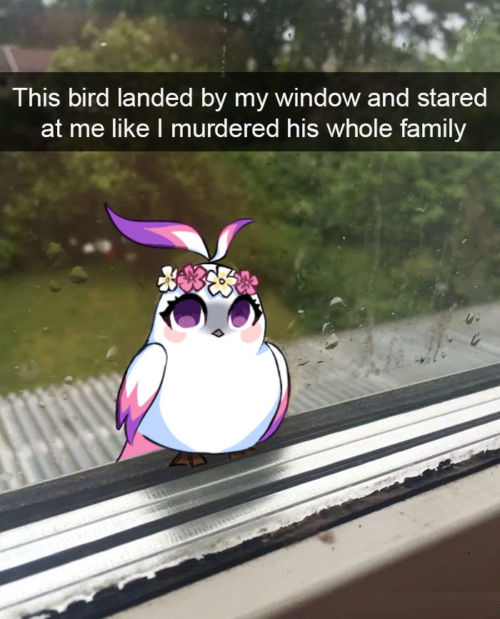 Helianthis64's tweet photo. #hsr #Robin・Summeretto fat birds compilation ✨️ https://t.co/rhzlz0sOrw