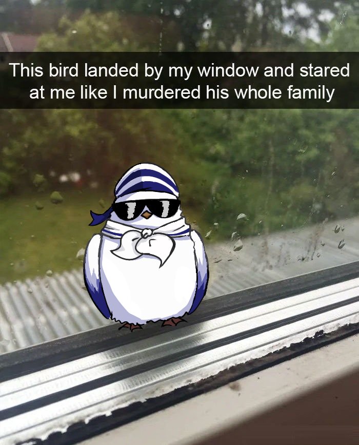 Helianthis64's tweet photo. #hsr #Robin・Summeretto fat birds compilation ✨️ https://t.co/rhzlz0sOrw