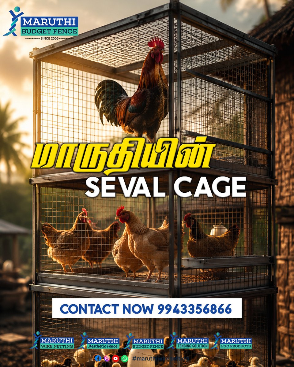 sri_wire's tweet photo. 🐓 Seval Cage – பாதுகாப்பான கூண்டு, ஆரோக்கியமான சேவல் வளர்ப்பு! https://t.co/R4yn3sjcbZ