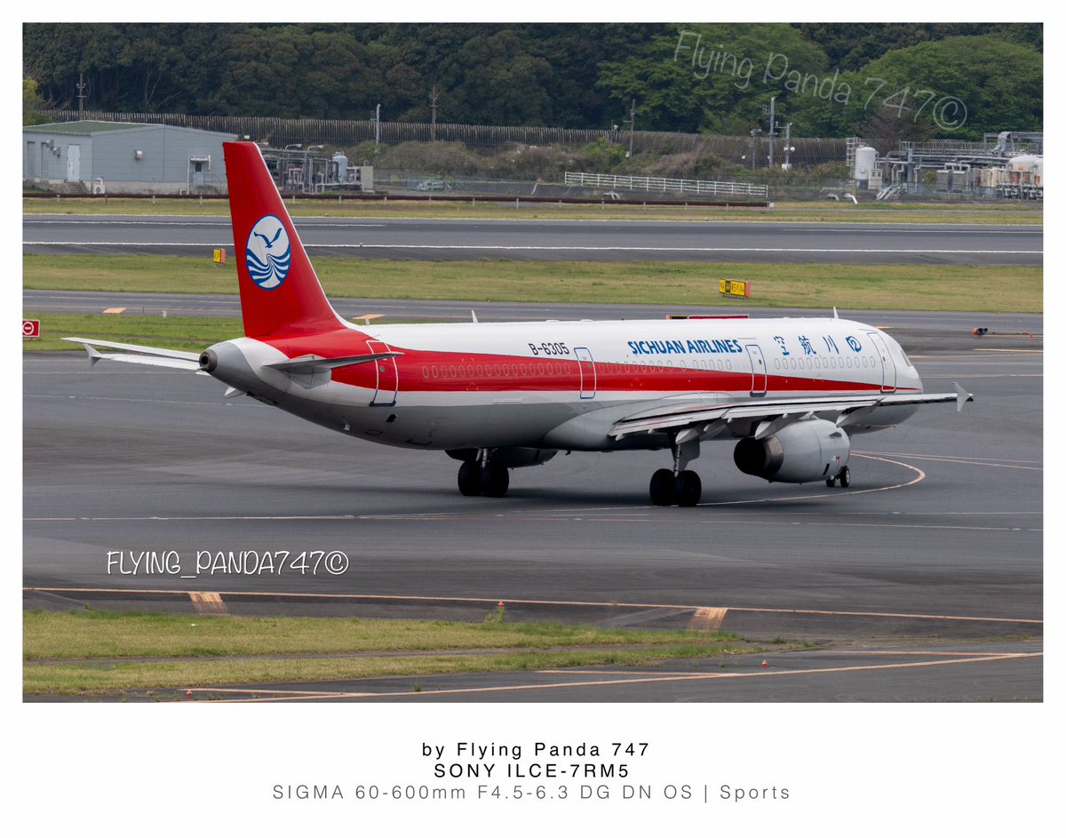 Flying Panda 747 (@Flying_Panda747) / Posts / X