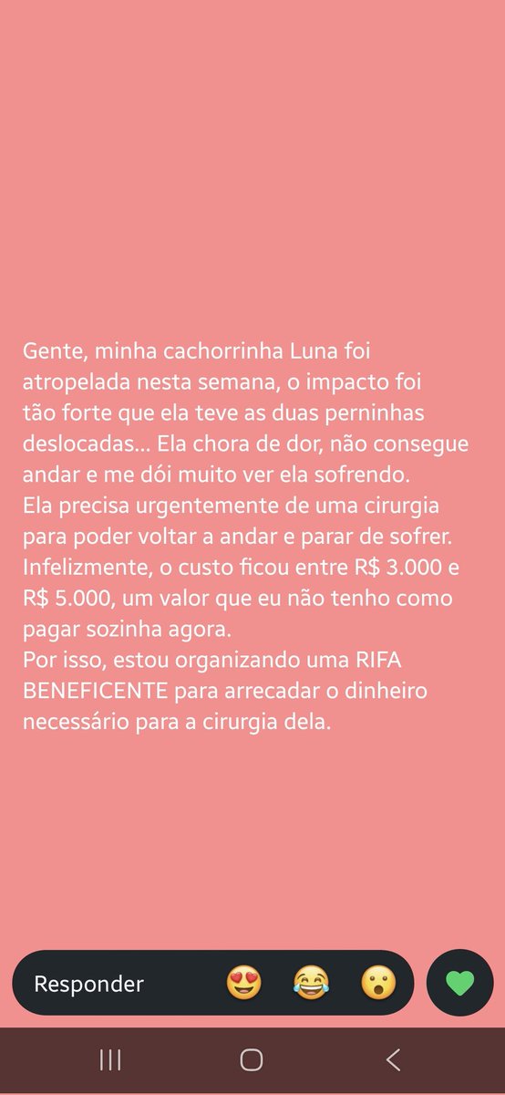 jeanlune_'s tweet photo. Pessoal, a cachorrinha da Luna da minha amiga foi atropelada e deslocou as duas patinhas de trás. Ela esta fazendo uma rifa para ajudar com os custos da cirurgia, se puderem ajudar com qualquer quantia ou divulgação, agradeceriamos. https://t.co/LKsWcWuHT1