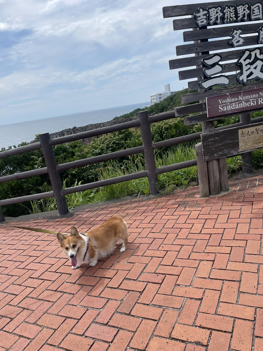 Hypernova00's tweet photo. イッヌと海に来た🫶 https://t.co/3yOFSnWjDR