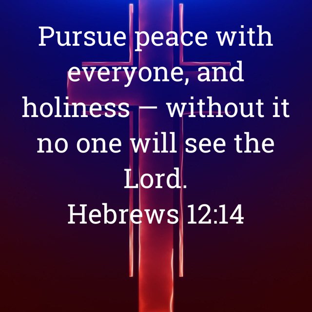 jerrprin's tweet photo. God’s true children, those who have placed saving faith in Jesus, will live a life marked by peace with everyone and holiness. This life can only be lived yielded to the power and guidance of the Holy Spirit! https://t.co/ARkF0nmMiq