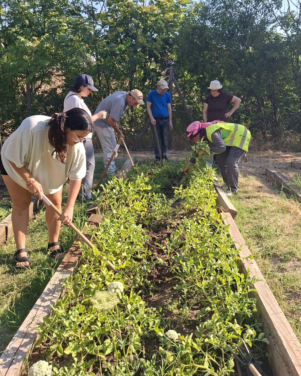 udcmoratalaz's tweet photo. 🌱🤝 Colaboramos con la Asociación AFAEMO en las tareas y actividades que desarrollan en el huerto comunitario, aportando apoyo técnico y mano de obra.

Seguimos sumando esfuerzos para impulsar espacios de aprendizaje, inclusión y participación en Moratalaz. https://t.co/XM6JpAQVUi