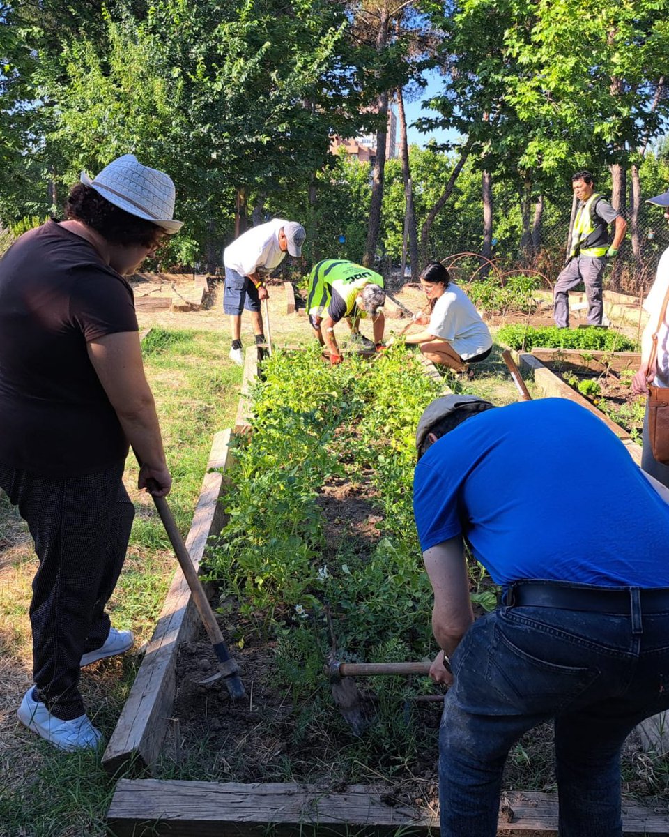 udcmoratalaz's tweet photo. 🌱🤝 Colaboramos con la Asociación AFAEMO en las tareas y actividades que desarrollan en el huerto comunitario, aportando apoyo técnico y mano de obra.

Seguimos sumando esfuerzos para impulsar espacios de aprendizaje, inclusión y participación en Moratalaz. https://t.co/XM6JpAQVUi