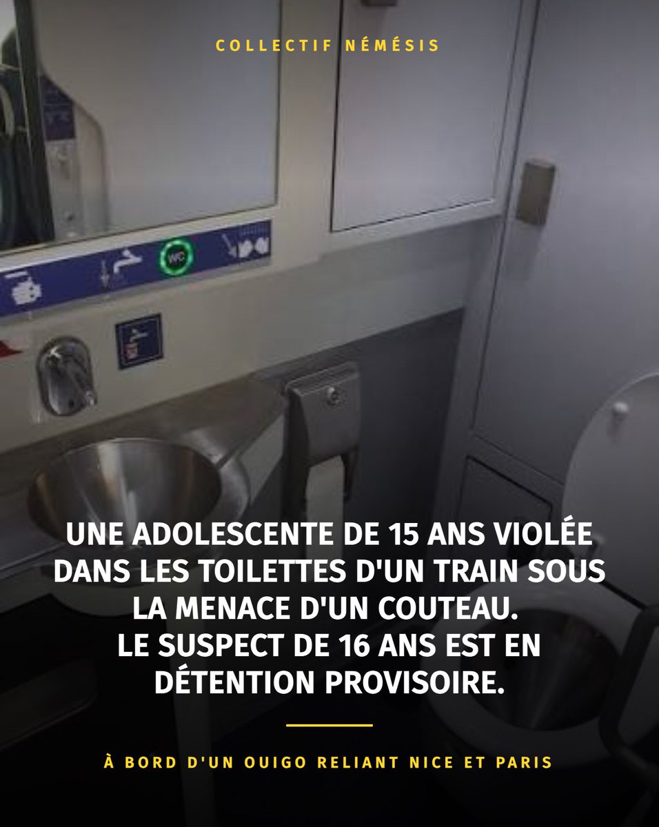 Coll_Nemesis's tweet photo. l’adolescente aurait fait un malaise à bord du train. C’est à ce moment-là que la fille se serait assise à côté d’un autre passager, un adolescent âgé de 16 ans. Selon les déclarations de la plaignante, l’homme aurait profité de l’occasion pour la menacer, à l’aide d’un couteau, avant de l’emmener dans les toilettes du train et de la violer.
C’est le personnel de bord de la SNCF qui a découvert la fille et le suspect dans les toilettes.
À l’arrivée du train à Paris gare de Lyon, à 20h50 samedi soir, le personnel de la SNCF a finalement remis le violeur présumé aux mains de la police, une dizaine de minutes après l’arrivée du train. D’abord entendue par les policiers, l’adolescente a ensuite pu retourner avec ses parents. 
Ce jeune de 16 ans dort désormais en détention provisoire.