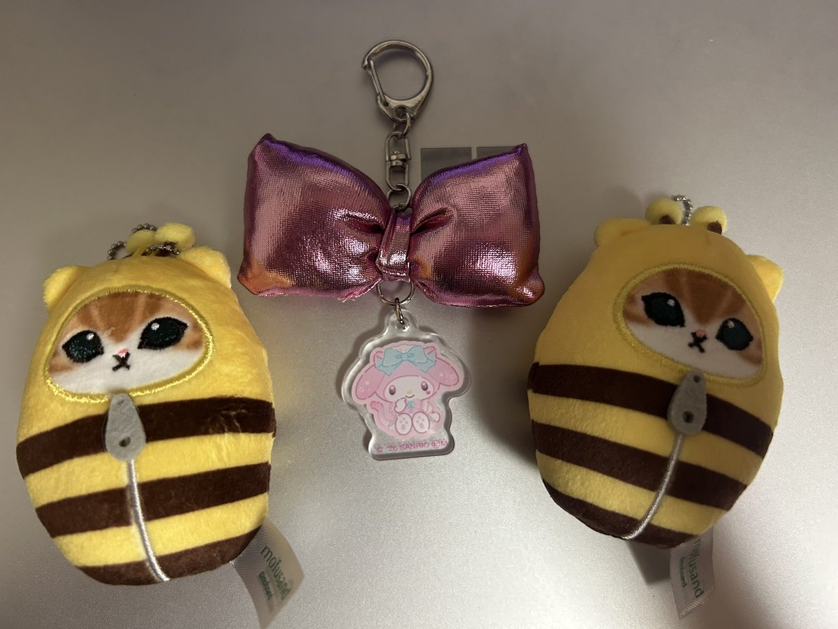 hiyo8660's tweet photo. 今日のガチャガチャの結果！！
mofusandがダブったのでナミにあげます https://t.co/aaRe2zjTZu