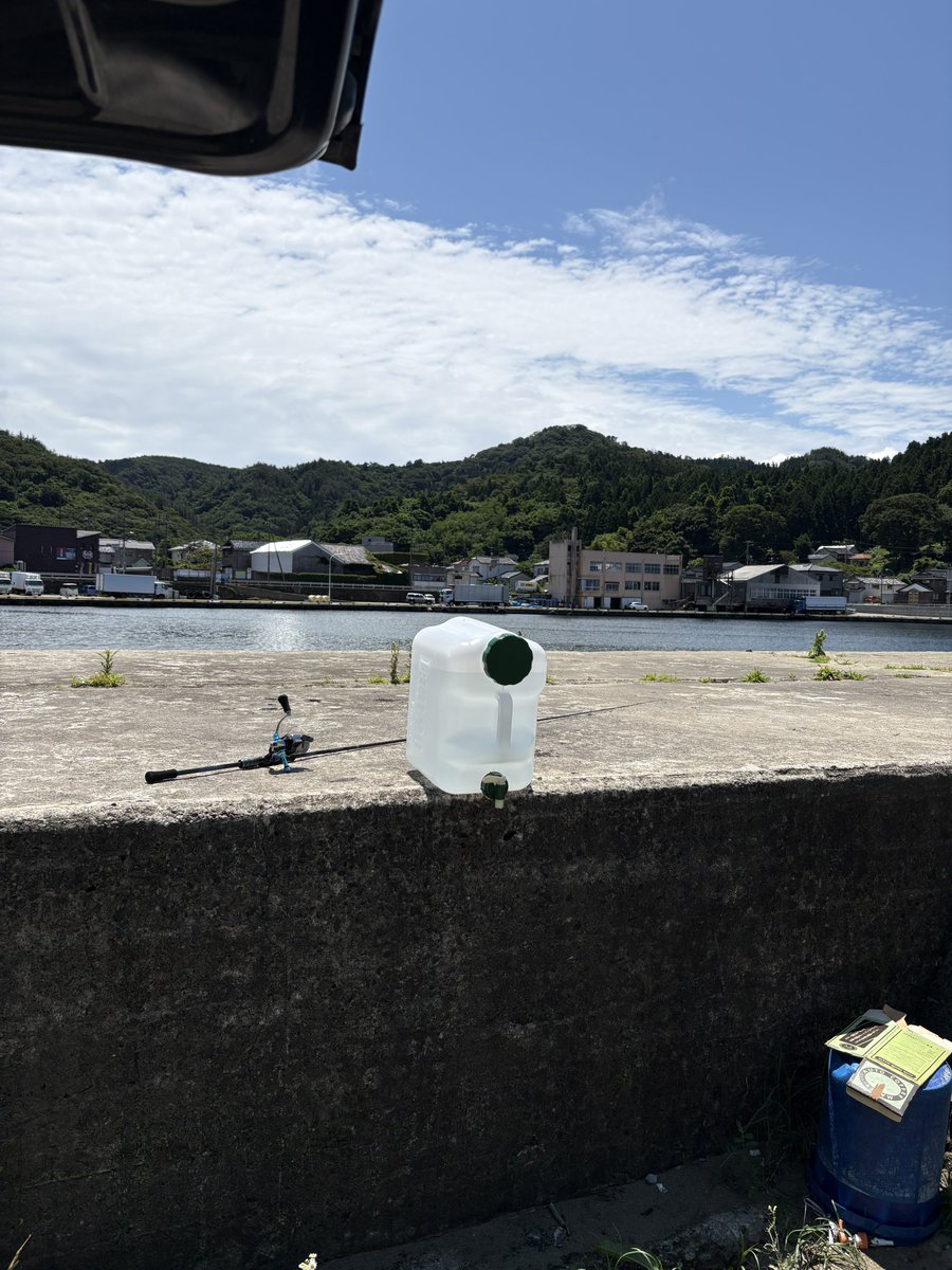 vvv_0711's tweet photo. 今日もヒマでキス狙い行ったら結構釣れたので報告しておきます！
皆様おつかれ生です🍺

#キスの唐揚げ
#キスの刺身 https://t.co/5n7lpZgtPu