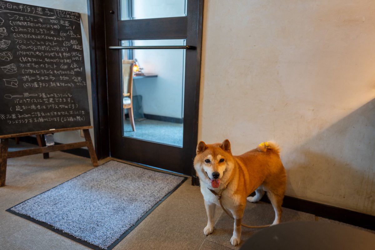 inuinushibainu's tweet photo. 沼津と言えば海鮮店だが、カフェも多い

#みんなの沼津あるある https://t.co/lFcNVBCgQD