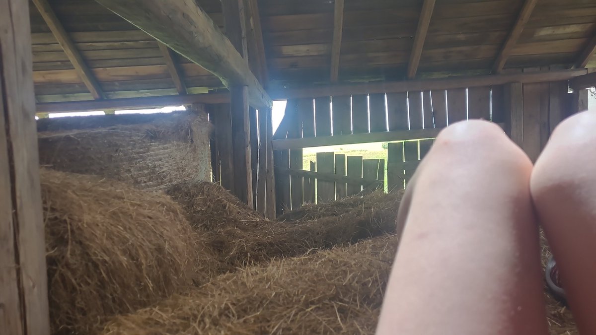 thebrightness27's tweet photo. peak tweeting location https://t.co/RNUrfXaj8F