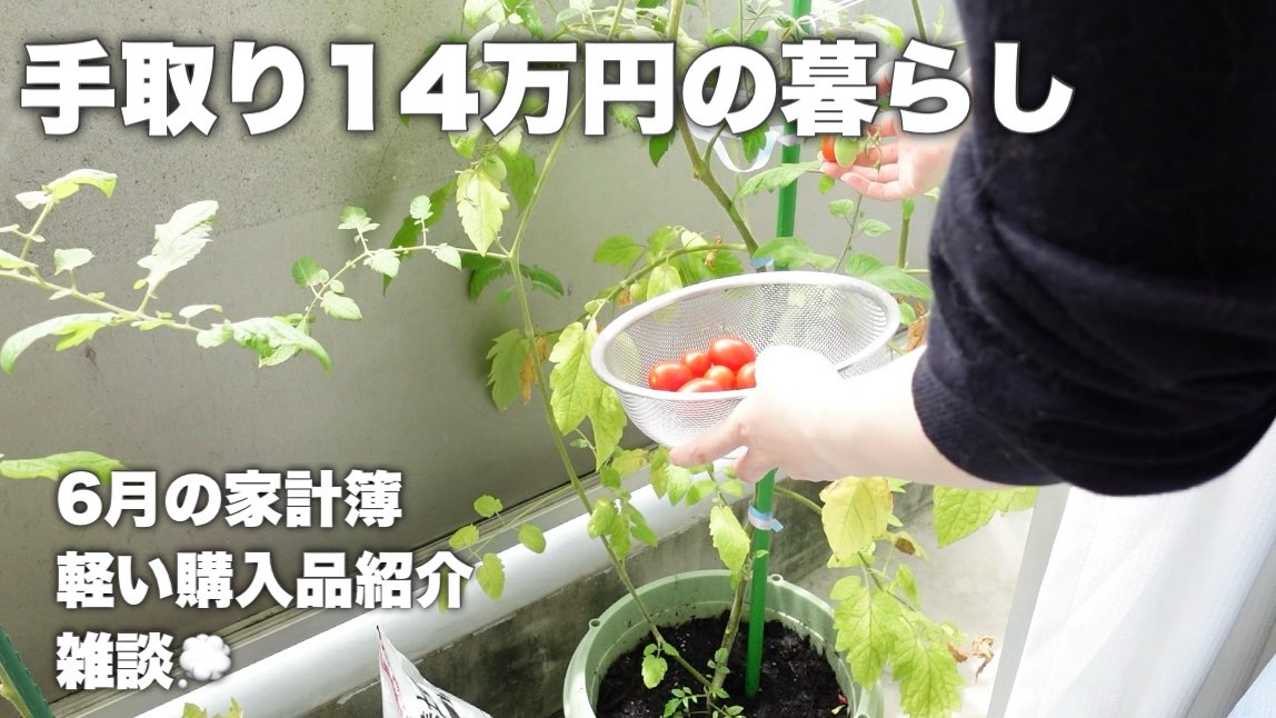 wts_rio's tweet photo. 【手取り14万円】ゆるく暮らす6月家計簿￤音声あり￤猫のいる暮らし https://t.co/Tgydy5p5Nq @YouTubeより

最近はずっと気圧に負けてます😔

動画投稿しました🙇🏻‍♀️ https://t.co/8TX9mAqNfc