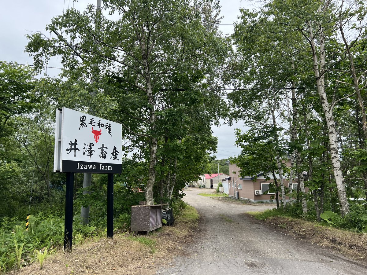 hideoharada's tweet photo. 北海道標茶町の和牛繁殖牧場「井澤畜産」。井澤尚知・沙耶香さんご夫妻は2020年に標茶町に新規就農。標茶町は「酪農の町」ですから、「なんで和牛繁殖なんやねん」「和牛で食っていけるわけないやろ」とかいろいろ言われながらも、初心貫徹！雌牛70頭、預託育成も含め、和牛農家の道を爆進中です。 https://t.co/UV92t0jYrx